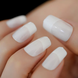 Frosted Stiletto Matte False Nails